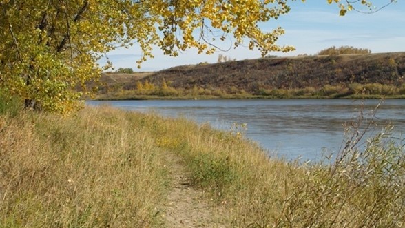 Cottonwood.jpg
