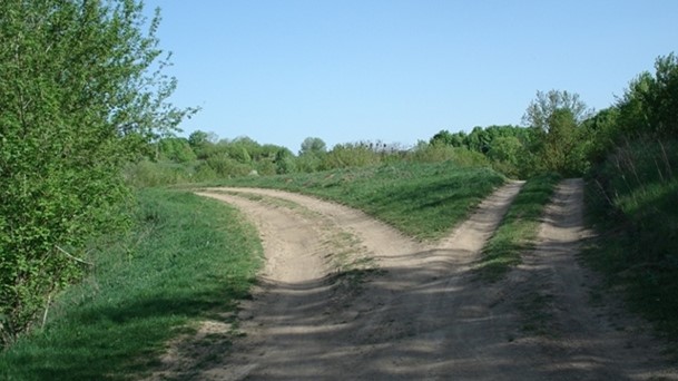 Fork in the road.jpg