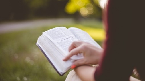 Open Bible.jpg