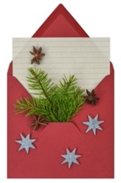 Small Christmas envelope.jpg