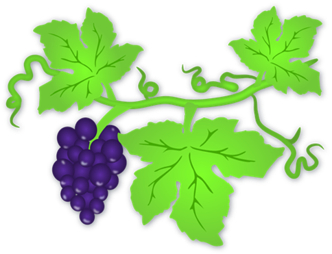 grapes and vine cartoon.png