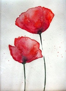 poppies.jpg