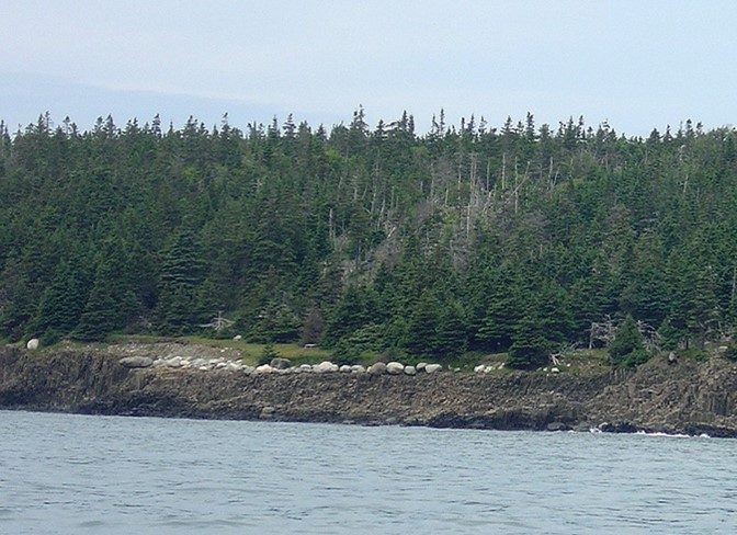 white rocks by shoreline.jpg